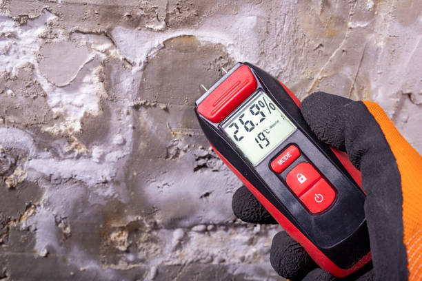 Best Emergency Mold Remediation in Southern Shops, SC