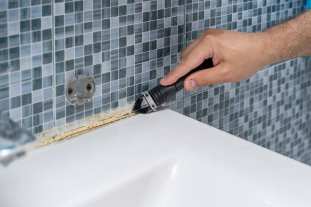 Southern Shops, SC Mold Remediation Company